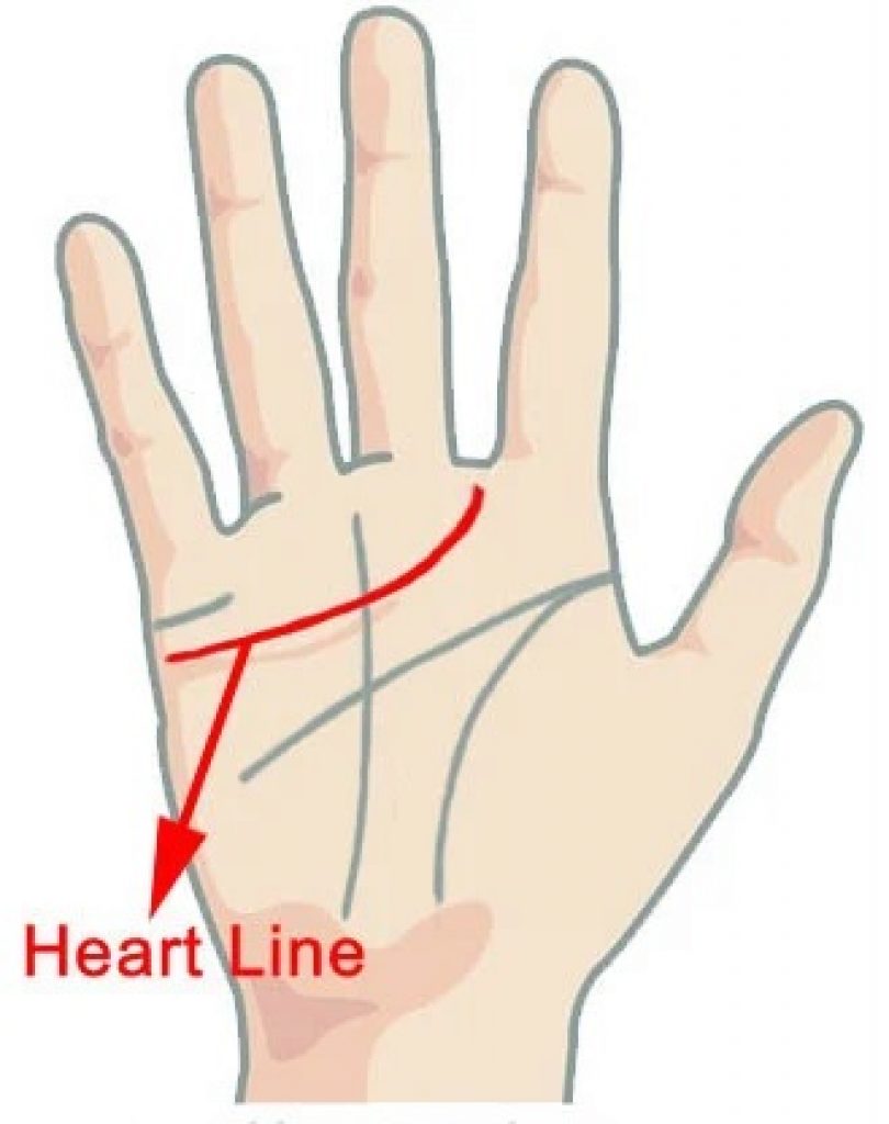 Palmistry - Heart-Line