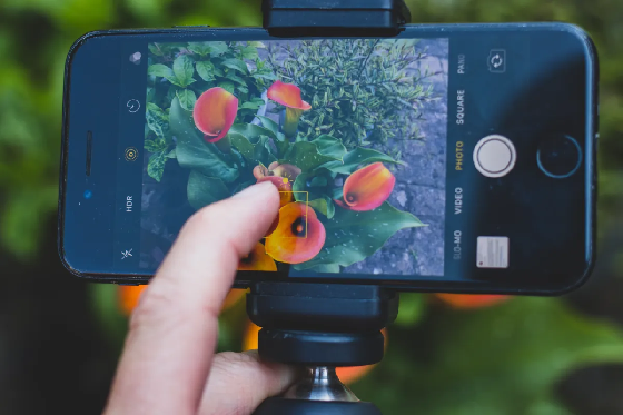 Use manually focus or automated focus in mobile photography