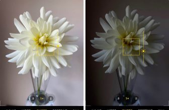 Awesome Mobile Photography Tips