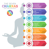 7 Chakras: See Powerful Parts Of The Human Body