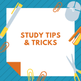 How To Study Effectively – The Best Helpful Tips